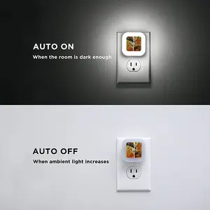 Becoming Monarch Sensor Night Light (Square)