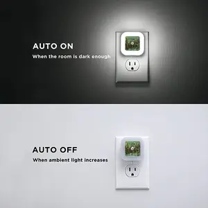 Balconies Sensor Night Light (Square)