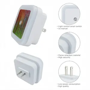 Orangespot Sensor Night Light (Square)