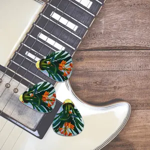 Clivia Guitar Pick