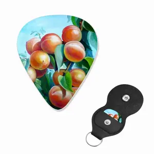 Apricot Branch Guitar Pick