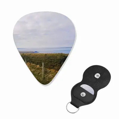 Bird Colonely At Duncansby Head Guitar Pick