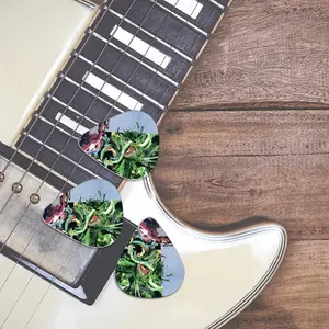 Flight Of Souls Gift Idea Guitar Pick