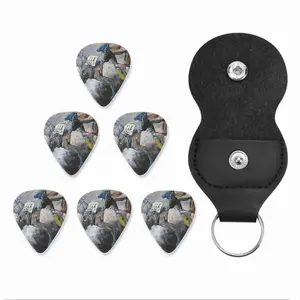 The Flop Guitar Pick