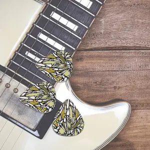 Sd Space 4450 Guitar Pick