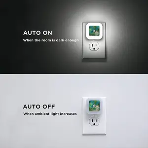 August Sensor Night Light (Square)