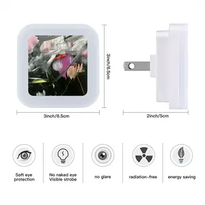 Black Rose Sensor Night Light (Square)