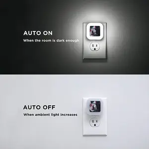 Liar Sensor Night Light (Square)