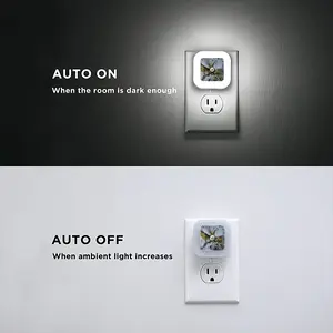 Belly Button Sensor Night Light (Square)