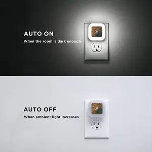 Golden Drops Sensor Night Light (Square)