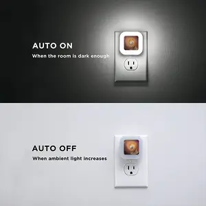 Embracing The Light F Sensor Night Light (Square)