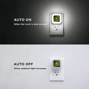 Hidden Universe N Sensor Night Light (Square)