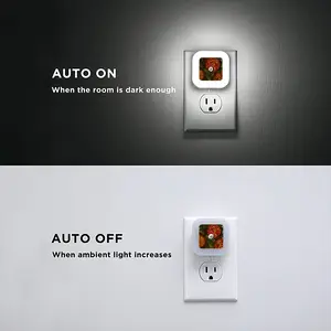 Cell-Fie Sensor Night Light (Square)