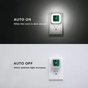 Swamp Water Sensor Night Light (Square)