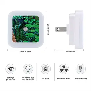 Swamp Water Sensor Night Light (Square)