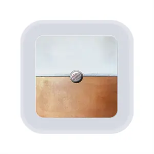 Black And White Over Copper Sensor Night Light (Square)