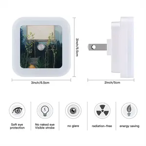 Audience Sensor Night Light (Square)