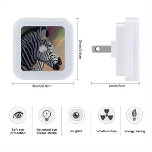 Dreamy Zebra Sensor Night Light (Square)