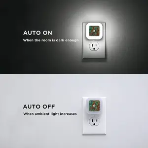 Birds Sensor Night Light (Square)