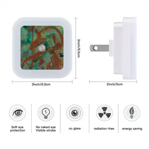 Birds Sensor Night Light (Square)