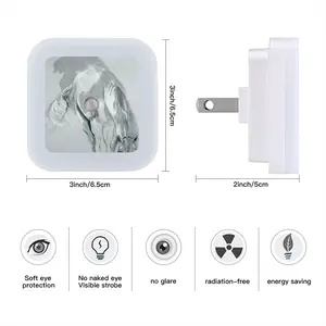 Grey Horse Sensor Night Light (Square)