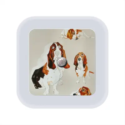 Basset Sensor Night Light (Square)