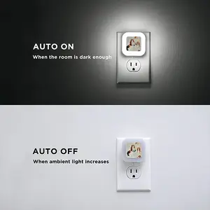 Basset Sensor Night Light (Square)