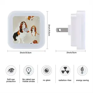 Basset Sensor Night Light (Square)