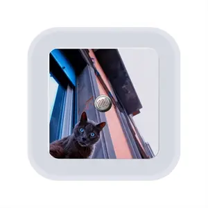 City Cat Sensor Night Light (Square)