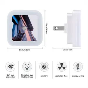 City Cat Sensor Night Light (Square)