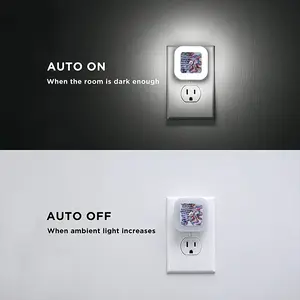 The Colorful Zebra Sensor Night Light (Square)