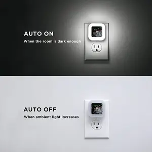 Sisters Of The Fire Dunes Sensor Night Light (Square)