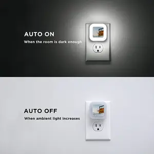 Liquor Store Sensor Night Light (Square)