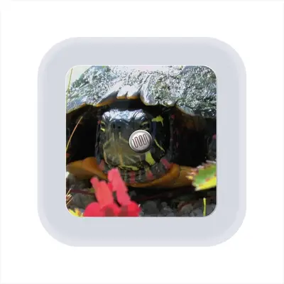 Big New Hampshire Turtle Sensor Night Light (Square)