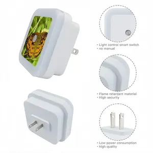 Beautiful New Hampshire Butterfly Sensor Night Light (Square)