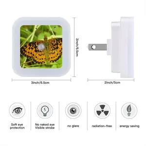 Beautiful New Hampshire Butterfly Sensor Night Light (Square)