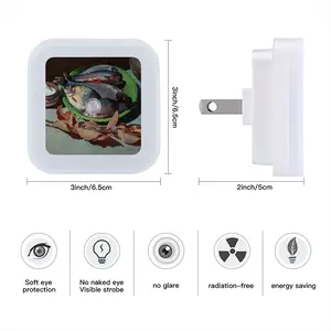 Fresh Fish Sensor Night Light (Square)