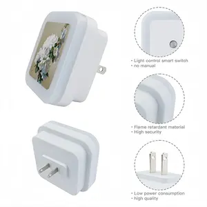 Apple Blossom Sensor Night Light (Square)