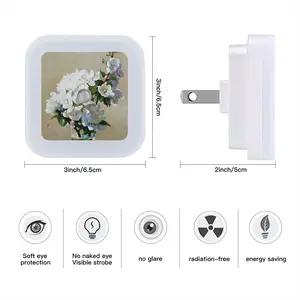 Apple Blossom Sensor Night Light (Square)