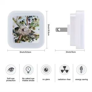 Birds Nest And Flying People Sensor Night Light (Square)