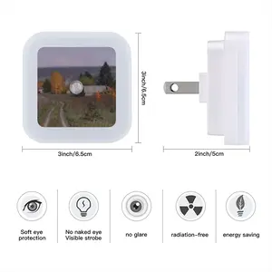 Autumn Village Nikolaevka Sensor Night Light (Square)