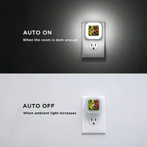 Butterfly Teasing Apple Tree Sensor Night Light (Square)