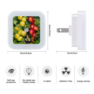 Butterfly Teasing Apple Tree Sensor Night Light (Square)