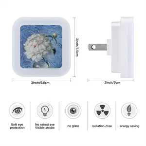 ”White Peony” Sensor Night Light (Square)