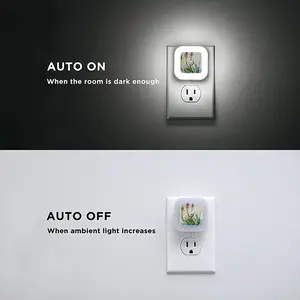 Aloe Sensor Night Light (Square)