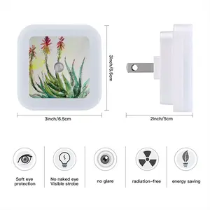 Aloe Sensor Night Light (Square)