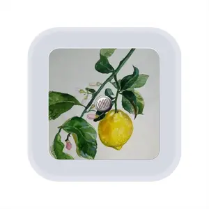 Lemon Branch Sensor Night Light (Square)