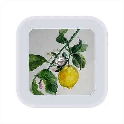 Lemon Branch Sensor Night Light (Square)