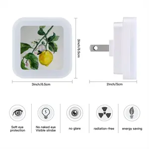 Lemon Branch Sensor Night Light (Square)