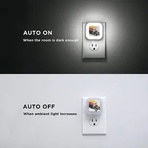 The Classic Sensor Night Light (Square)